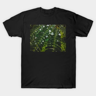 Rainy South T-Shirt